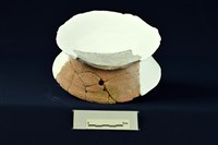 陶片藏品圖，第2張